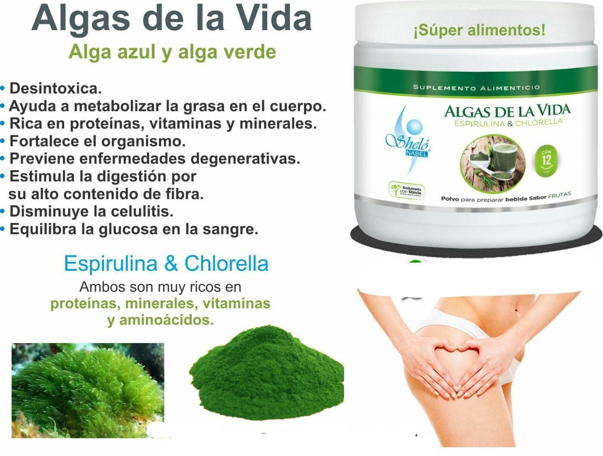 ALGAS DE LA VIDA
