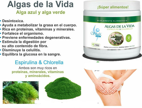 ALGAS DE LA VIDA