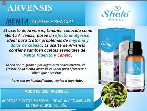 ACEITE ESENCIAL DE ARVENSIS